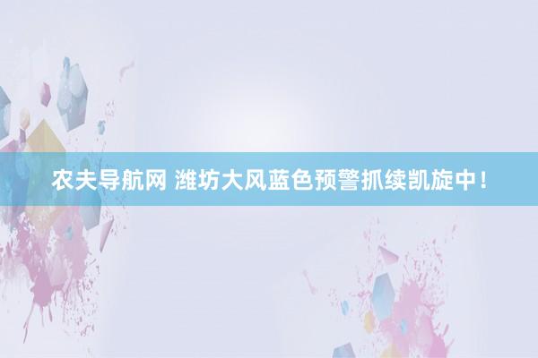 农夫导航网 潍坊大风蓝色预警抓续凯旋中！