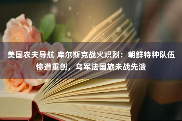 美国农夫导航 库尔斯克战火炽烈：朝鲜特种队伍惨遭重创，乌军法国旅未战先溃