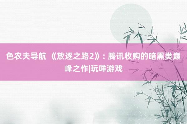 色农夫导航 《放逐之路2》: 腾讯收购的暗黑类巅峰之作|玩咩游戏