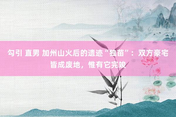 勾引 直男 加州山火后的遗迹“独苗”：双方豪宅皆成废地，惟有它完竣