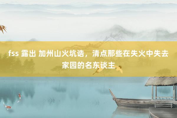 fss 露出 加州山火坑诰，清点那些在失火中失去家园的名东谈主