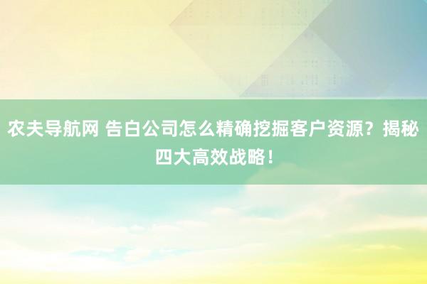 农夫导航网 告白公司怎么精确挖掘客户资源？揭秘四大高效战略！