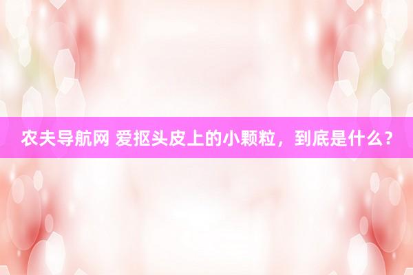 农夫导航网 爱抠头皮上的小颗粒，到底是什么？