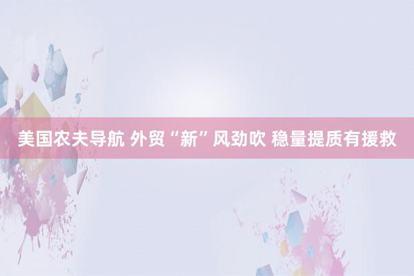美国农夫导航 外贸“新”风劲吹 稳量提质有援救