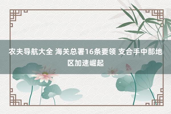 农夫导航大全 海关总署16条要领 支合手中部地区加速崛起