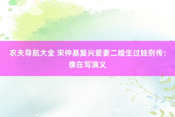 农夫导航大全 宋仲基复兴爱妻二婚生过娃别传：像在写演义
