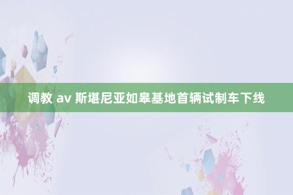 调教 av 斯堪尼亚如皋基地首辆试制车下线