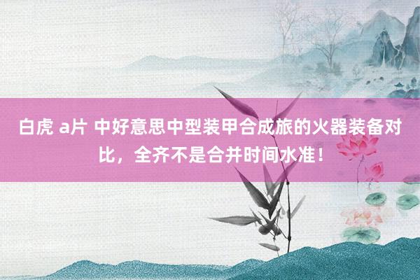 白虎 a片 中好意思中型装甲合成旅的火器装备对比，全齐不是合并时间水准！