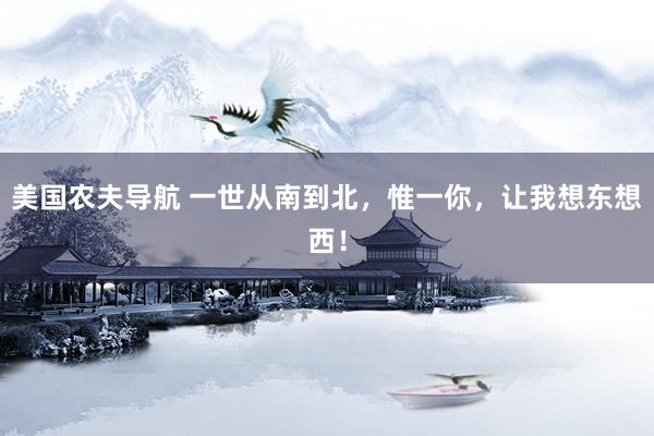 美国农夫导航 一世从南到北，惟一你，让我想东想西！