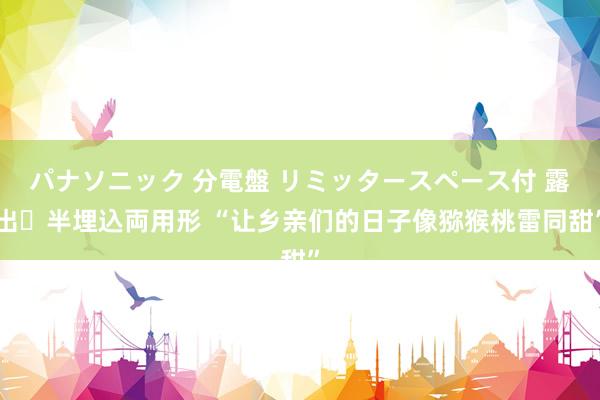 パナソニック 分電盤 リミッタースペース付 露出・半埋込両用形 “让乡亲们的日子像猕猴桃雷同甜”