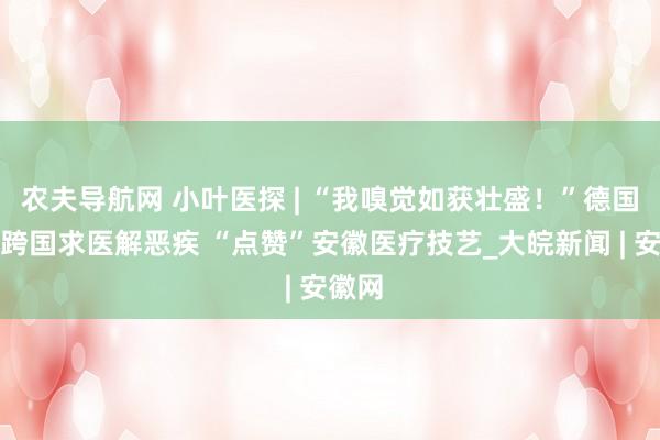 农夫导航网 小叶医探 | “我嗅觉如获壮盛！”德国患者跨国求医解恶疾 “点赞”安徽医疗技艺_大皖新闻 | 安徽网