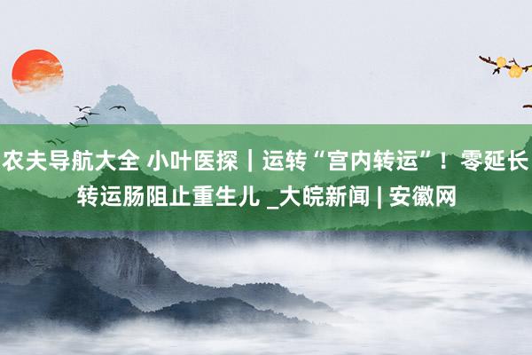 农夫导航大全 小叶医探｜运转“宫内转运”！零延长转运肠阻止重生儿 _大皖新闻 | 安徽网