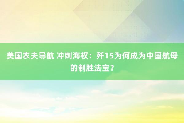 美国农夫导航 冲刺海权：歼15为何成为中国航母的制胜法宝？