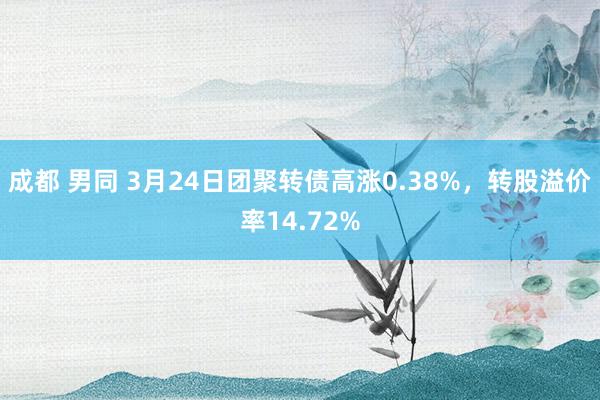 成都 男同 3月24日团聚转债高涨0.38%，转股溢价率14.72%