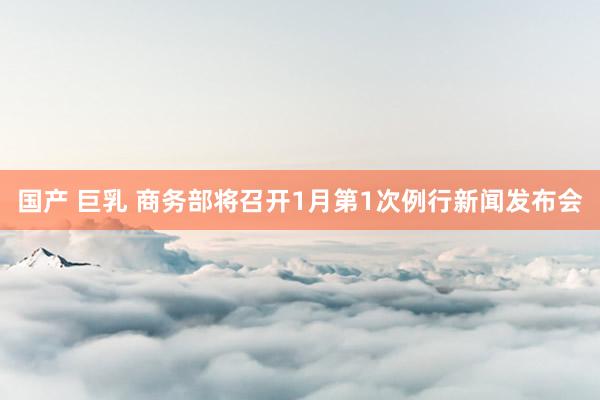 国产 巨乳 商务部将召开1月第1次例行新闻发布会