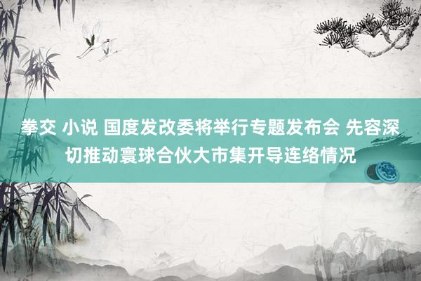 拳交 小说 国度发改委将举行专题发布会 先容深切推动寰球合伙大市集开导连络情况