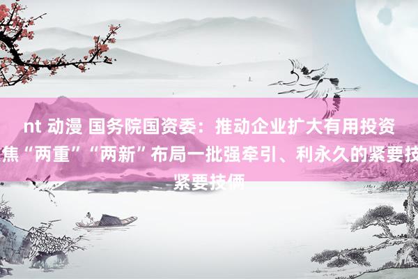 nt 动漫 国务院国资委：推动企业扩大有用投资 聚焦“两重”“两新”布局一批强牵引、利永久的紧要技俩