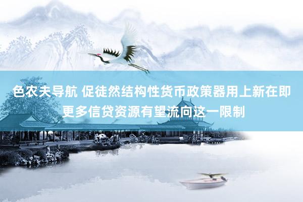 色农夫导航 促徒然结构性货币政策器用上新在即 更多信贷资源有望流向这一限制