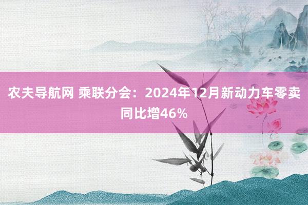 农夫导航网 乘联分会：2024年12月新动力车零卖同比增46%