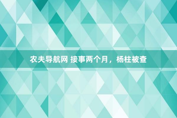农夫导航网 接事两个月，杨柱被查
