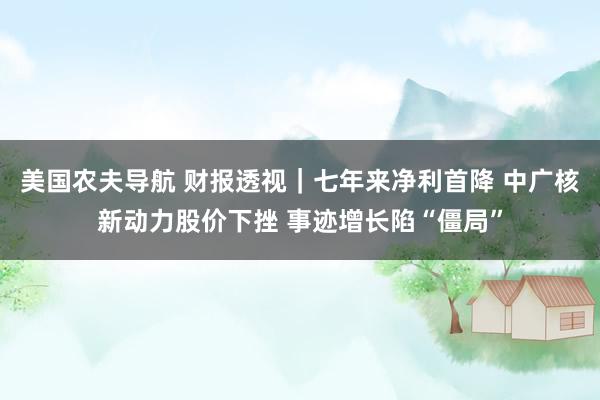 美国农夫导航 财报透视｜七年来净利首降 中广核新动力股价下挫 事迹增长陷“僵局”