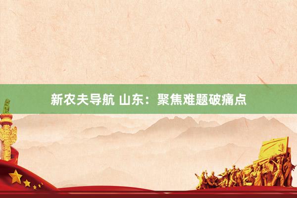 新农夫导航 山东：聚焦难题破痛点