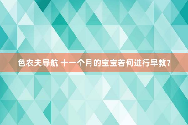 色农夫导航 十一个月的宝宝若何进行早教？