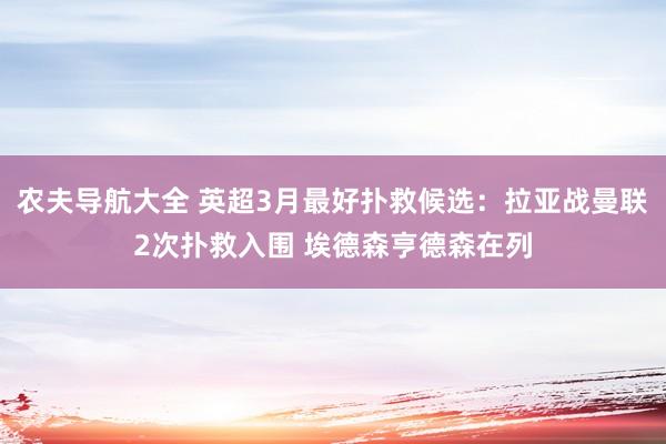 农夫导航大全 英超3月最好扑救候选：拉亚战曼联2次扑救入围 埃德森亨德森在列
