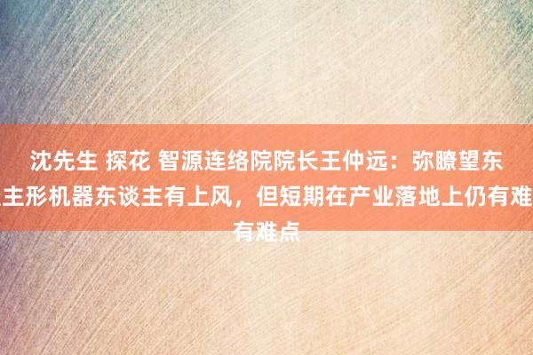 沈先生 探花 智源连络院院长王仲远：弥瞭望东谈主形机器东谈主有上风，但短期在产业落地上仍有难点