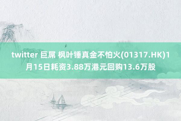 twitter 巨屌 枫叶锤真金不怕火(01317.HK)1月15日耗资3.88万港元回购13.6万股