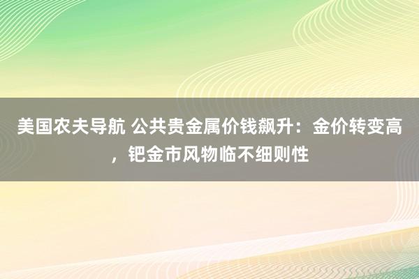 美国农夫导航 公共贵金属价钱飙升：金价转变高，钯金市风物临不细则性
