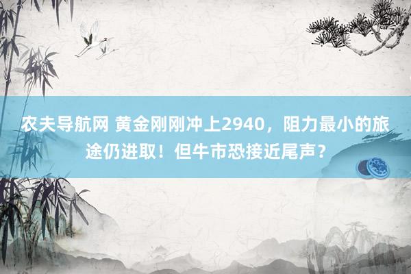 农夫导航网 黄金刚刚冲上2940，阻力最小的旅途仍进取！但牛市恐接近尾声？