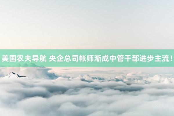 美国农夫导航 央企总司帐师渐成中管干部进步主流！