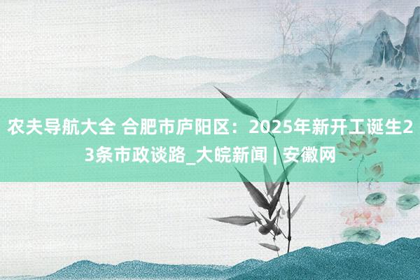 农夫导航大全 合肥市庐阳区：2025年新开工诞生23条市政谈路_大皖新闻 | 安徽网
