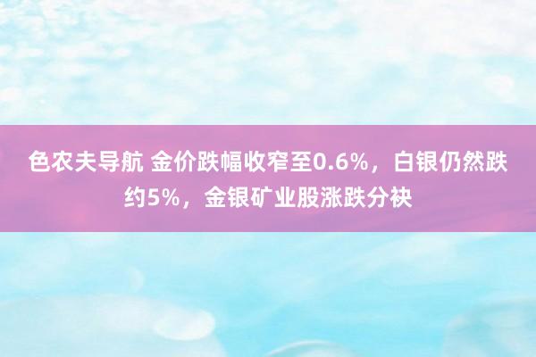 色农夫导航 金价跌幅收窄至0.6%，白银仍然跌约5%，金银矿业股涨跌分袂