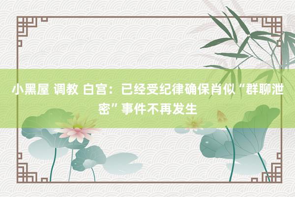 小黑屋 调教 白宫：已经受纪律确保肖似“群聊泄密”事件不再发生