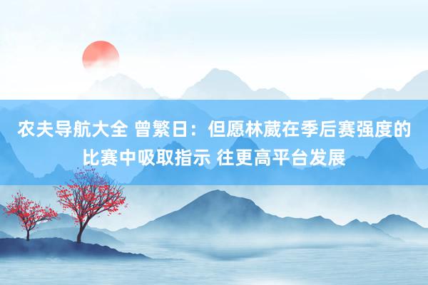 农夫导航大全 曾繁日：但愿林葳在季后赛强度的比赛中吸取指示 往更高平台发展