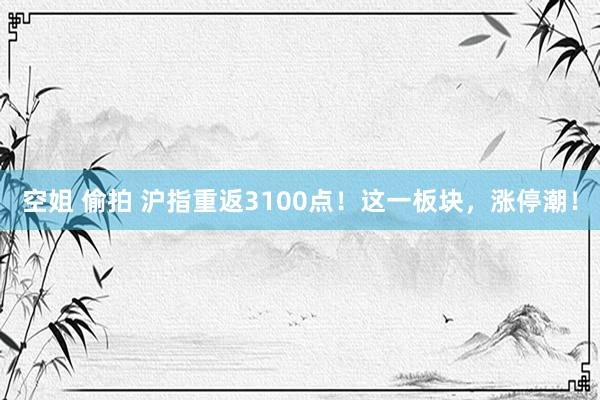 空姐 偷拍 沪指重返3100点！这一板块，涨停潮！