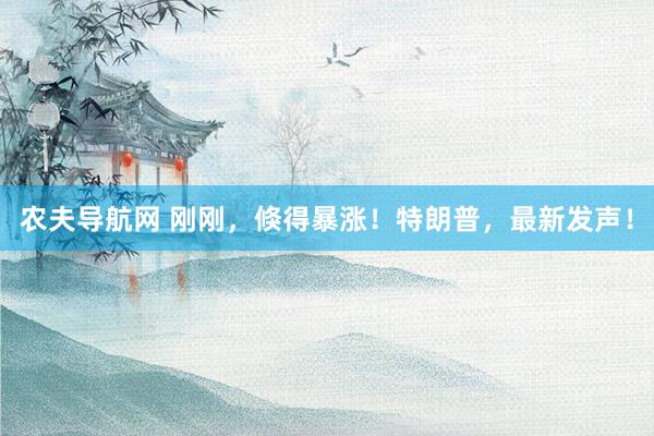 农夫导航网 刚刚，倏得暴涨！特朗普，最新发声！