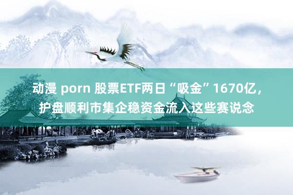 动漫 porn 股票ETF两日“吸金”1670亿，护盘顺利市集企稳资金流入这些赛说念