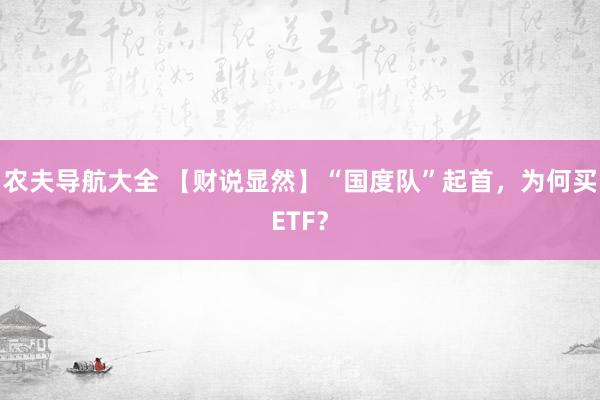 农夫导航大全 【财说显然】“国度队”起首，为何买ETF？