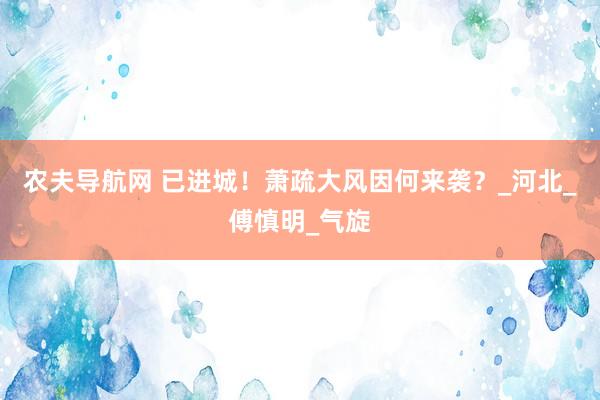 农夫导航网 已进城！萧疏大风因何来袭？_河北_傅慎明_气旋