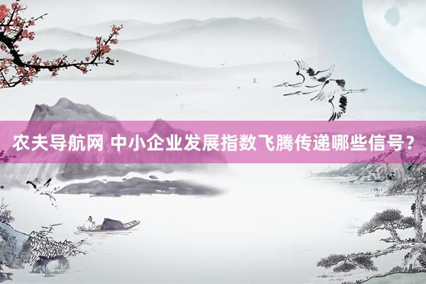 农夫导航网 中小企业发展指数飞腾传递哪些信号？