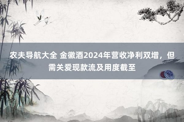 农夫导航大全 金徽酒2024年营收净利双增，但需关爱现款流及用度截至