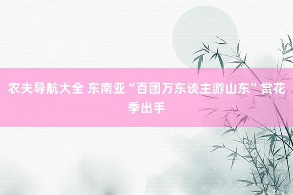 农夫导航大全 东南亚“百团万东谈主游山东”赏花季出手