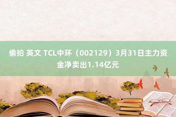 偷拍 英文 TCL中环（002129）3月31日主力资金净卖出1.14亿元