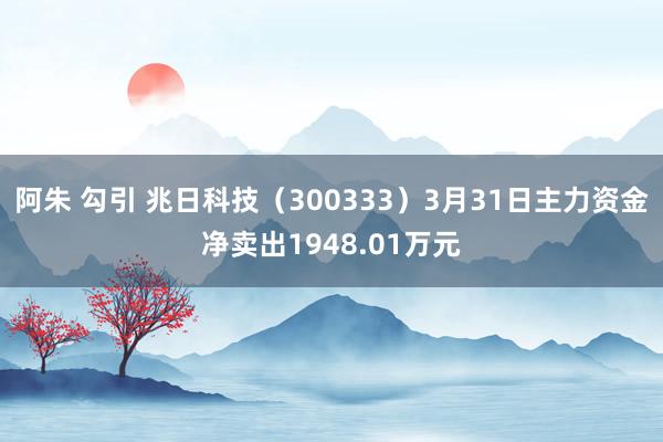 阿朱 勾引 兆日科技（300333）3月31日主力资金净卖出1948.01万元