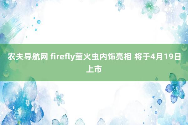 农夫导航网 firefly萤火虫内饰亮相 将于4月19日上市