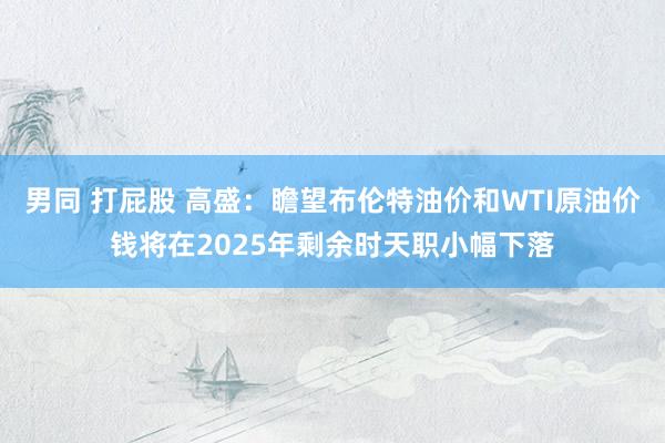 男同 打屁股 高盛：瞻望布伦特油价和WTI原油价钱将在2025年剩余时天职小幅下落