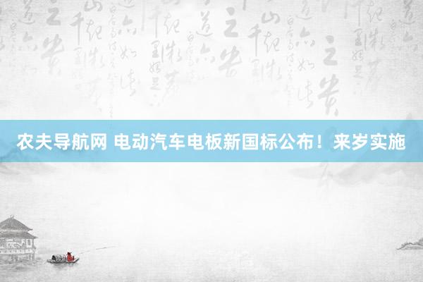 农夫导航网 电动汽车电板新国标公布！来岁实施